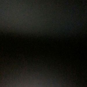 Meet your Posher, Bee